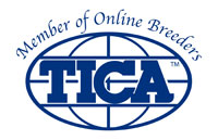 TICA Breeder